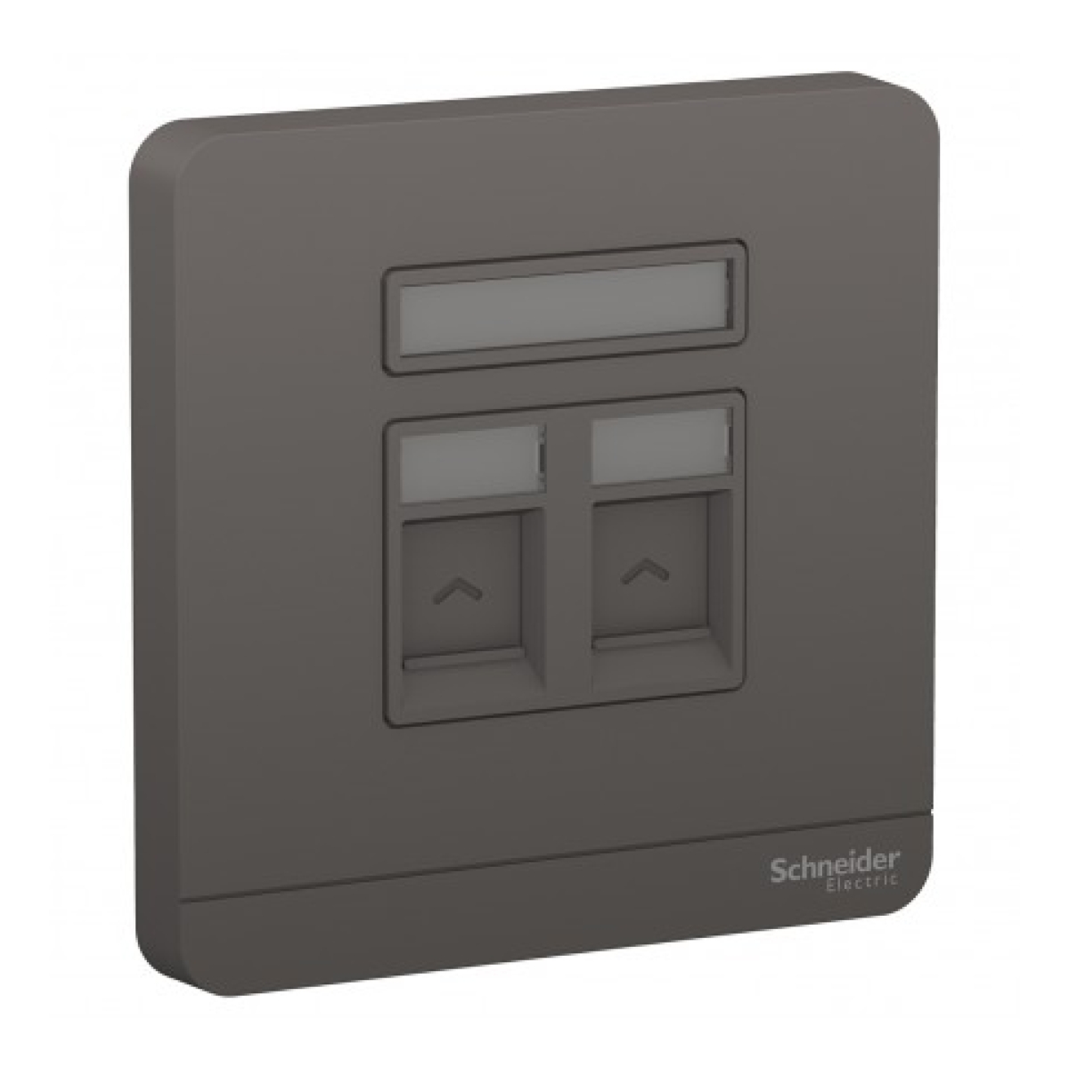 Schneider Electric 施耐德電氣 AvatarOn 兩位RJ11四線電話插座，Keystone面板備防塵活門 (石墨灰) (E8332RJS4_DG_C5)